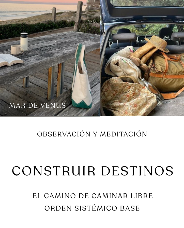 Viaje Clase: Orden sistemico base - Construir Destino