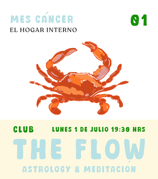 Sesión 01: The Flow Julio